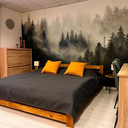 Apartmany V Centre - Vlastna Izba So Spolocnou Kuchynou A Kupelnou Moze Byt Zdielana 2 Inymi Izbami Martin Buitenkant foto