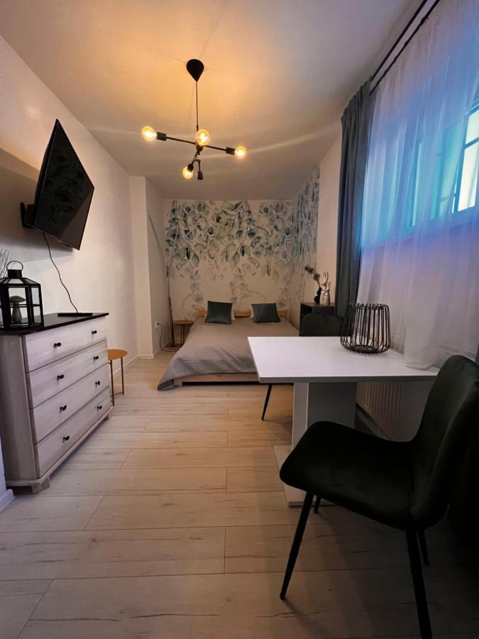 Apartmany V Centre - Vlastna Izba So Spolocnou Kuchynou A Kupelnou Moze Byt Zdielana 2 Inymi Izbami Martin Buitenkant foto