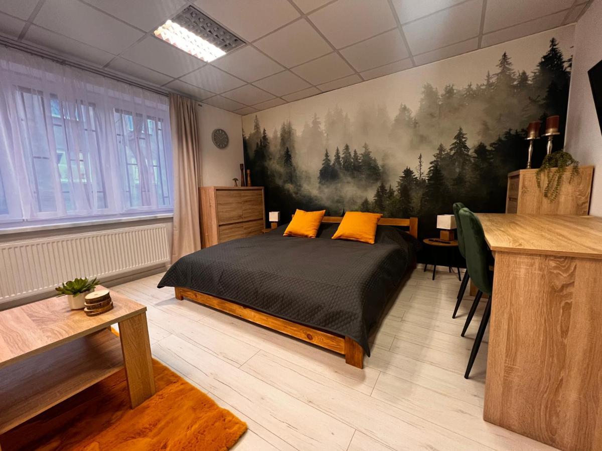 Apartmany V Centre - Vlastna Izba So Spolocnou Kuchynou A Kupelnou Moze Byt Zdielana 2 Inymi Izbami Martin Buitenkant foto