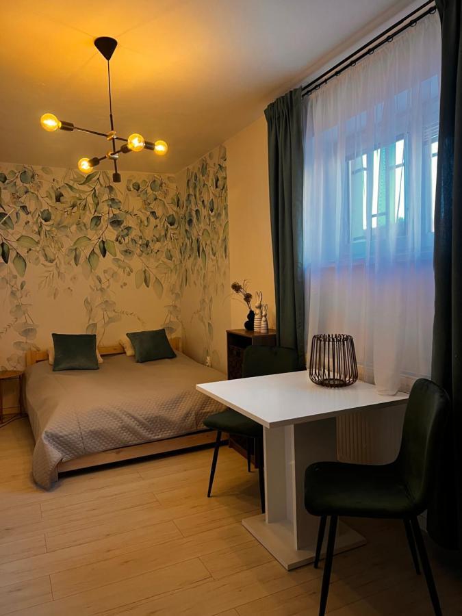 Apartmany V Centre - Vlastna Izba So Spolocnou Kuchynou A Kupelnou Moze Byt Zdielana 2 Inymi Izbami Martin Buitenkant foto