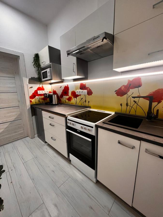 Apartmany V Centre - Vlastna Izba So Spolocnou Kuchynou A Kupelnou Moze Byt Zdielana 2 Inymi Izbami Martin Buitenkant foto